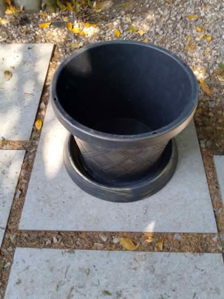 Photo of free Large Plant Pot & Saucer (Bexhill TN39) #2