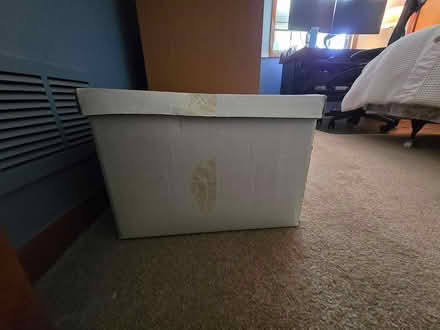 Photo of free Box of Collectibles from 1990s (Bartlett, near the library) #1