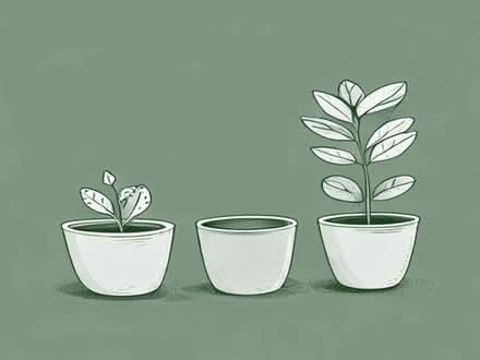 Photo of free 10 x Small/medium ceramic plant pots and ornaments (Norton Lees S8) #1