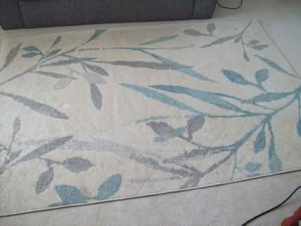Photo of free Rug (Segensworth East PO14) #3