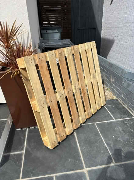 Photo of free Pallet (Woodford Green IG8) #1