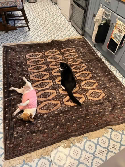 Photo of free Persian Rug (OX3 Northway) #2