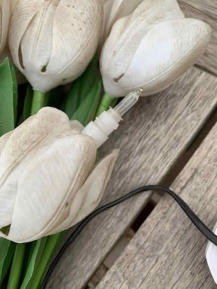 Photo of free Tulip lamp (Haslemere GU27) #2