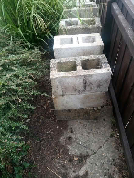 Photo of free Concrete blocks (PE148RB) #1
