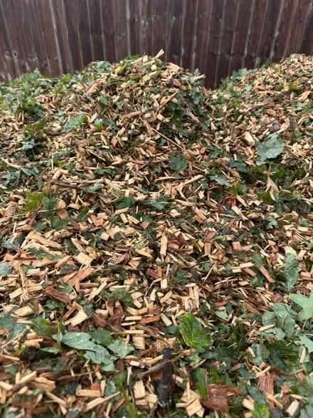 Photo of free Wood chip (Grafton, Shrewsbury) #2