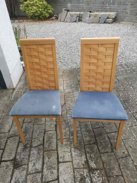 Photo of free Two Dining Chairs (South Side Paisley PA2) #1
