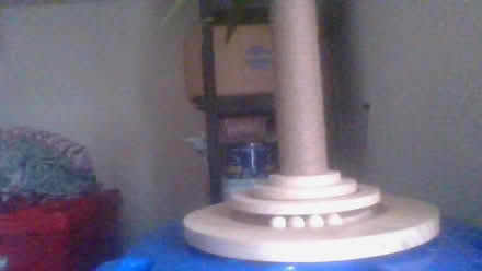 Photo of free cat scratcher tree (Bath BA2) #3