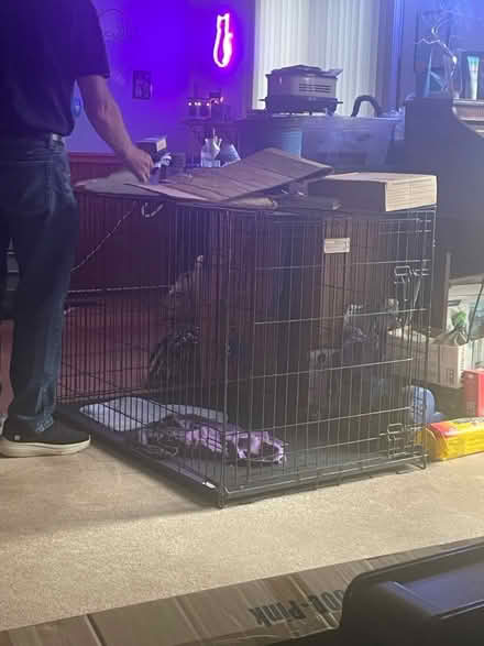 Photo of free large dog cage (Carol stream) #1