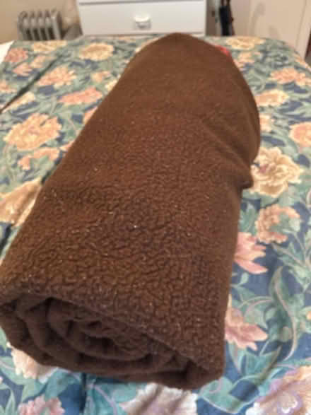Photo of free Large brown blanket (Capel Sound) #2