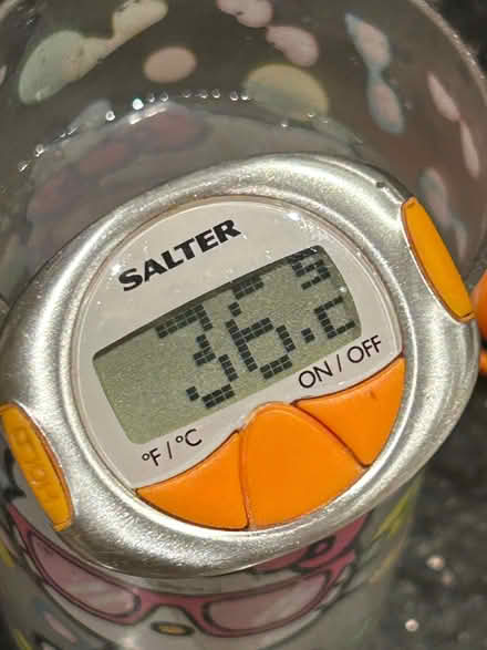 Photo of free Salter meat thermometer (Dursley GL11) #2