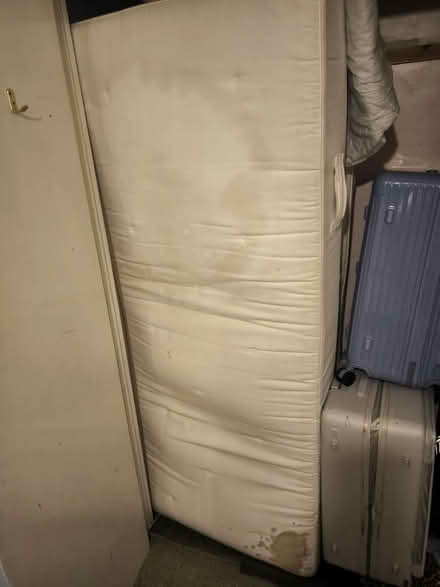 Photo of free 2 single mattresses (Rh164J) #2