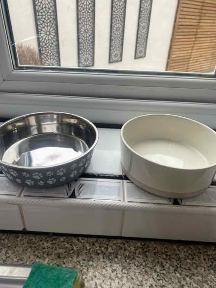Photo of free 2x Dog/Cat bowls (CH62) #1