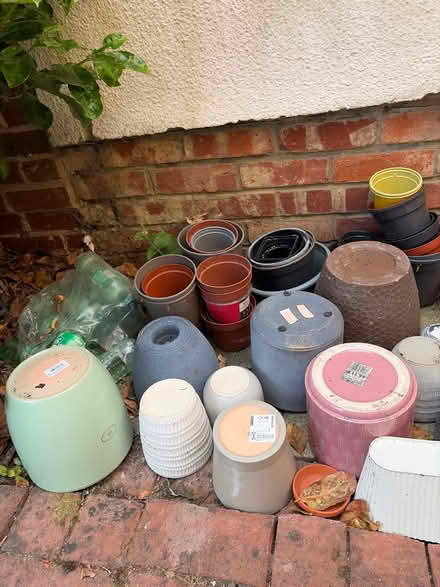 Photo of free Mix of plant pots (Virginia water) #3