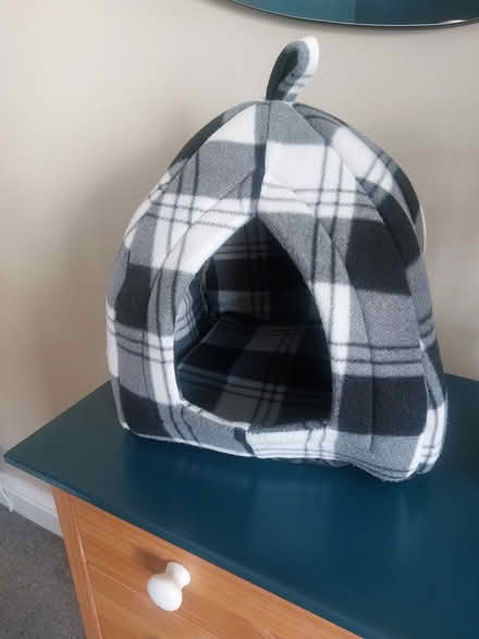 Photo of free Cat teepee bed (Southsea PO4) #3