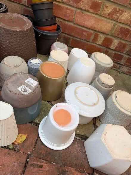 Photo of free Mix of plant pots (Virginia water) #2