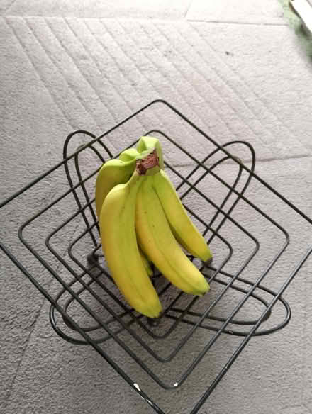 Photo of free Square fruit basket (Minchery Farm OX4) #2