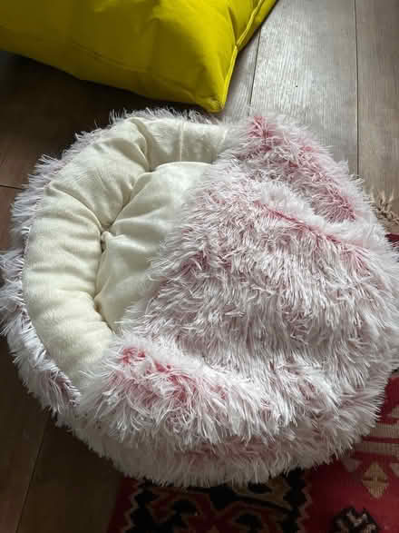 Photo of free Pink fluffy cat bed with hood (Salford 6 M6 8) #1