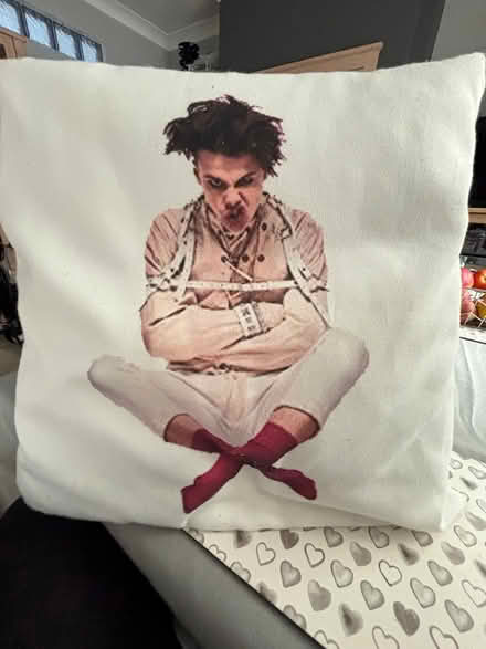 Photo of free Cushion (Palmers green N13) #1