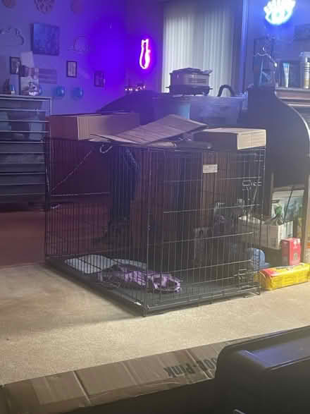 Photo of free large dog cage (Carol stream) #4