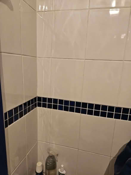 Photo of free Very small blue tiles (Loughborough LE11) #2