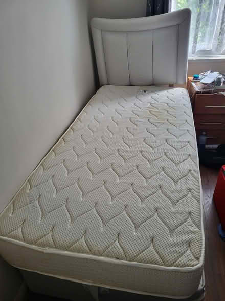 Photo of free Single bed and mattress (Croydon) #1