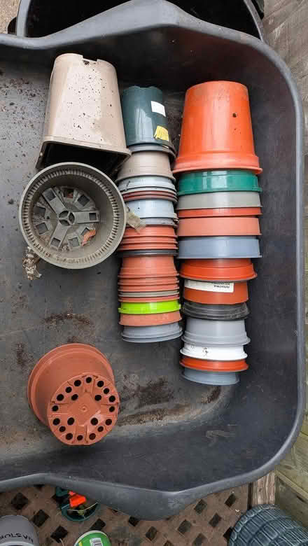 Photo of free Pot clear out (Castlepoint BH8) #1