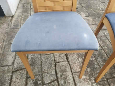 Photo of free Two Dining Chairs (South Side Paisley PA2) #3
