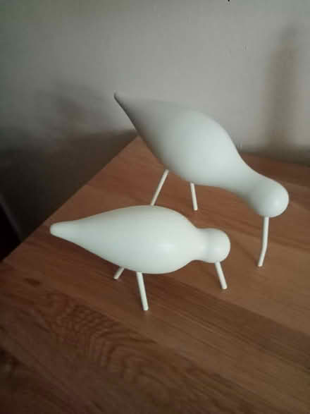 Photo of free Scandinavian birds (Farnley LS12) #1