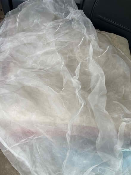 Photo of free 2 tree nets (Northwestern Morton Grove) #1