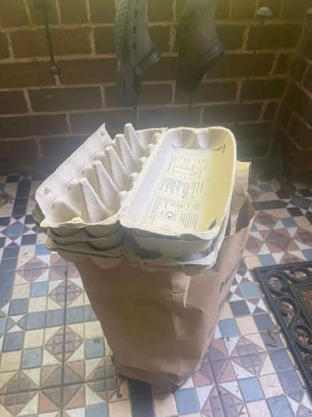 Photo of free Egg boxes for twelve eggs (Sweeny Mountain SY10) #1