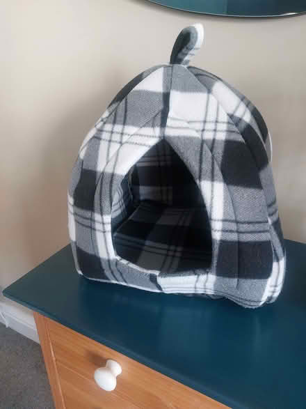 Photo of free Cat teepee bed (Southsea PO4) #4