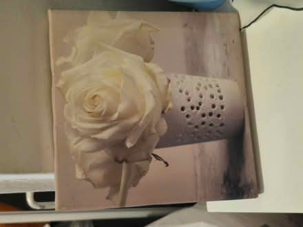 Photo of free 20cm print (Somers town NW1) #1