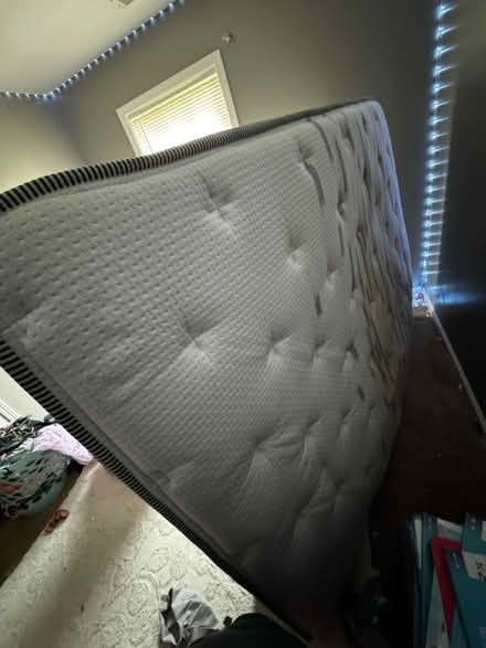 Photo of free Queen Bed and Queen Mattress (Hillview area) #4