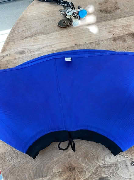 Photo of free XL dog surgical cone (Gospel Oak NW5) #2