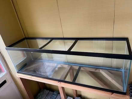 Photo of free 4ft Glass Tank with Wooden Stand – Ideal for Reptiles / Dry (Stanford in the Vale SN7) #1