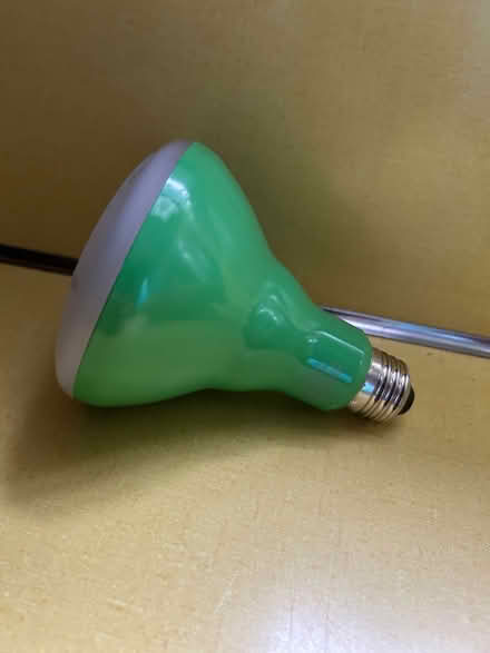 Photo of free Wide Top Plant Lightbulb (Tufts University) #1
