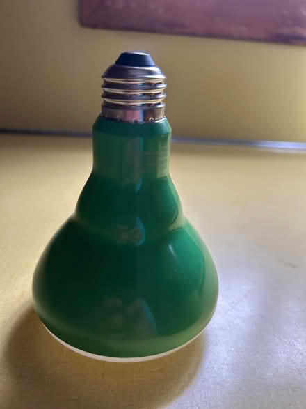 Photo of free Wide Top Plant Lightbulb (Tufts University) #2