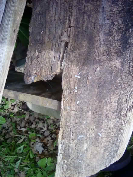 Photo of free Rustic Outdoor Table for Project (Hayling Island PO11) #2