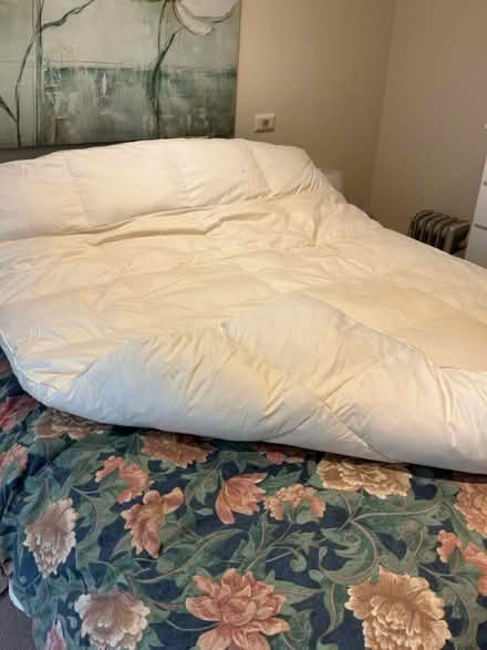 Photo of free Queen mattress topper (Capel Sound) #1