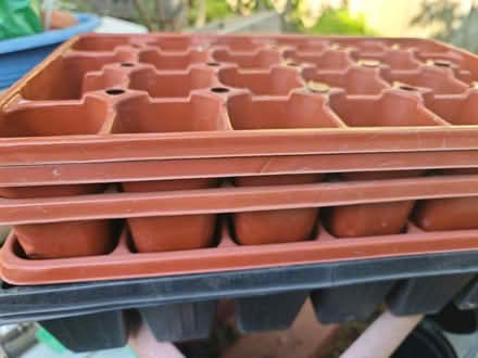 Photo of free Plant containers (Mississauga Ontario Canada) #1