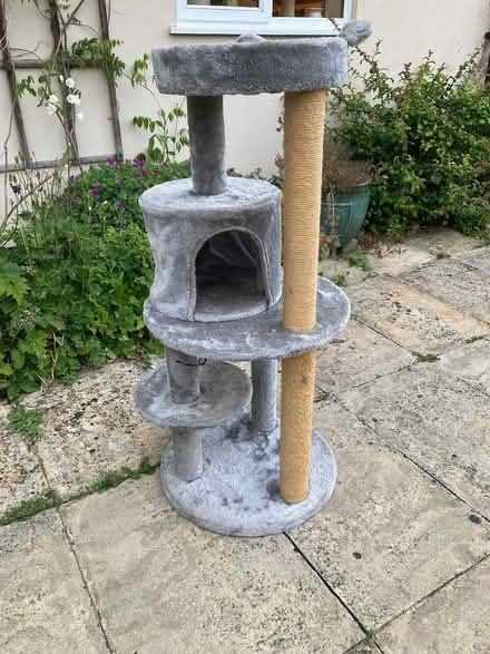 Photo of free Cat scratch post/tower good condition (Chapel Lawn SY7) #1