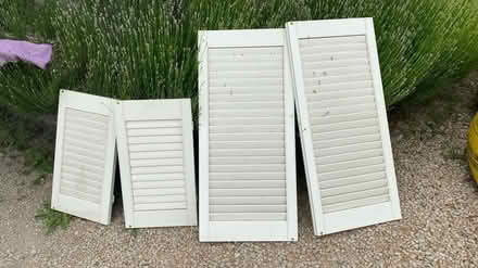 Photo of free Wooden window shutters (Banwell, BS29) #1