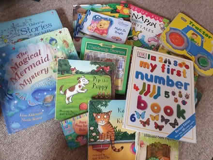 Photo of free Kids book bundle (BS16) #1