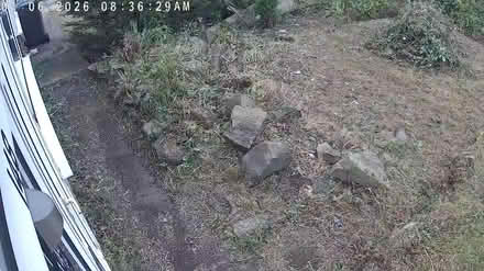 Photo of free Rocks (BD21PU BD2) #2