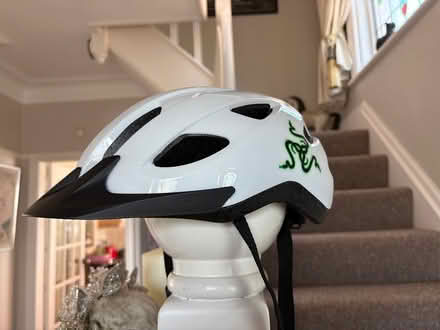 Photo of free Adult bike helmet (Poulton FY3) #1