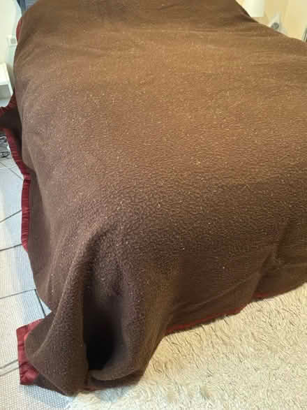 Photo of free Large brown blanket (Capel Sound) #1