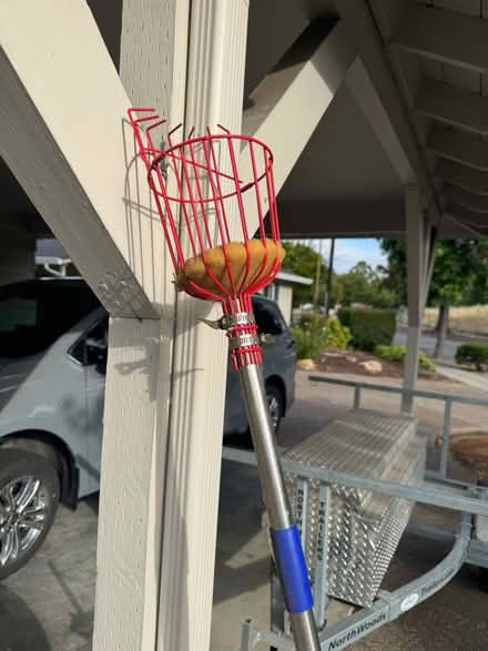 Photo of free Fruit picker pole (San Jose California) #1