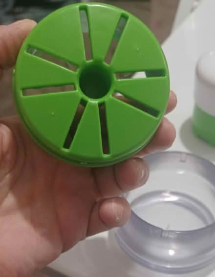 Photo of free Kitchen gadgets - garlic (M32) #2