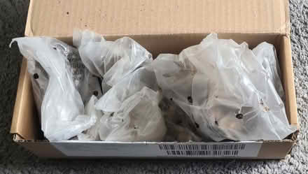 Photo of free A variety of bulbs to plant (Boothtown HX3) #1