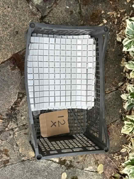 Photo of free White glazed tiles 30cm sq x 12 (Ruddington) #1